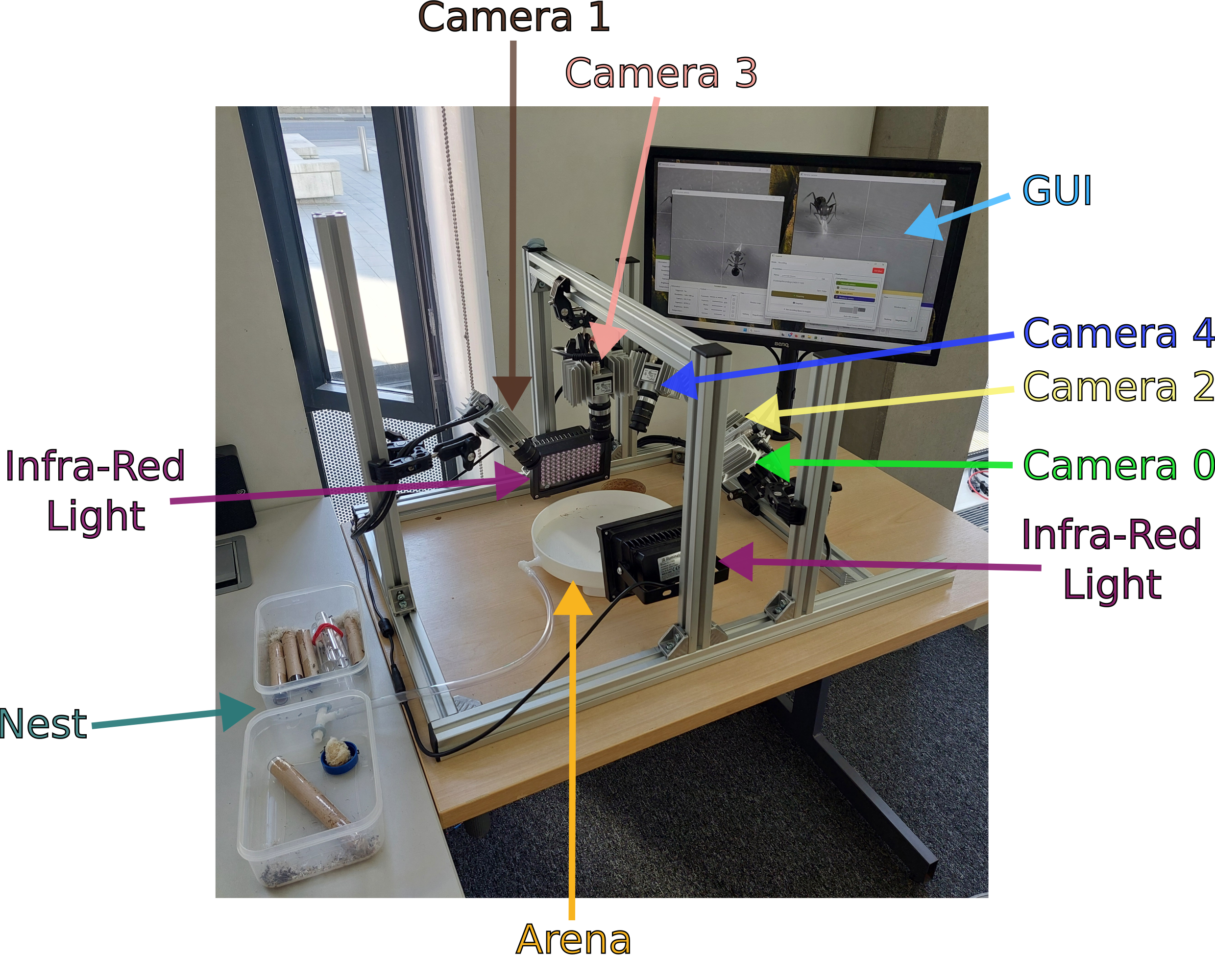 Labelled diagram of the camera arrangement used to collect the video data used in this dataset. The ant nests are visible in the bottom left of the image.
In the top right, there is a computer monitor showing some application frames with a live stream video of the five different camera views.